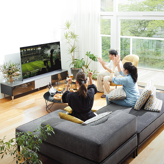 上手なテレビの選び方を伝授！あなたのお部屋はどのタイプ？｜大塚家具 