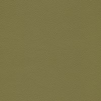 SC 175 Bengali green