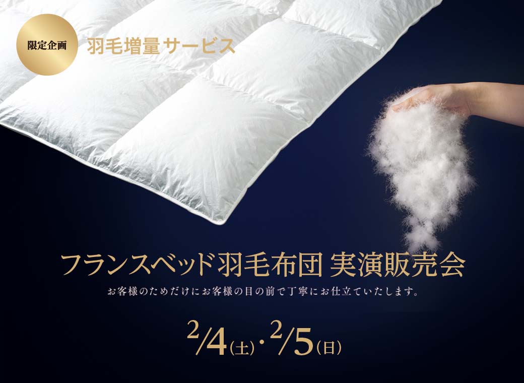 安い純正品 大塚家具 FranceBed（フランスベッド）「ティエドール