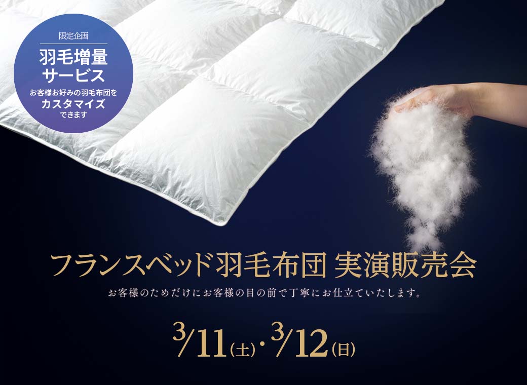 ✨SALE✨ 【けいた様専用】大塚家具 FranceBed「ティエドール」ダブル