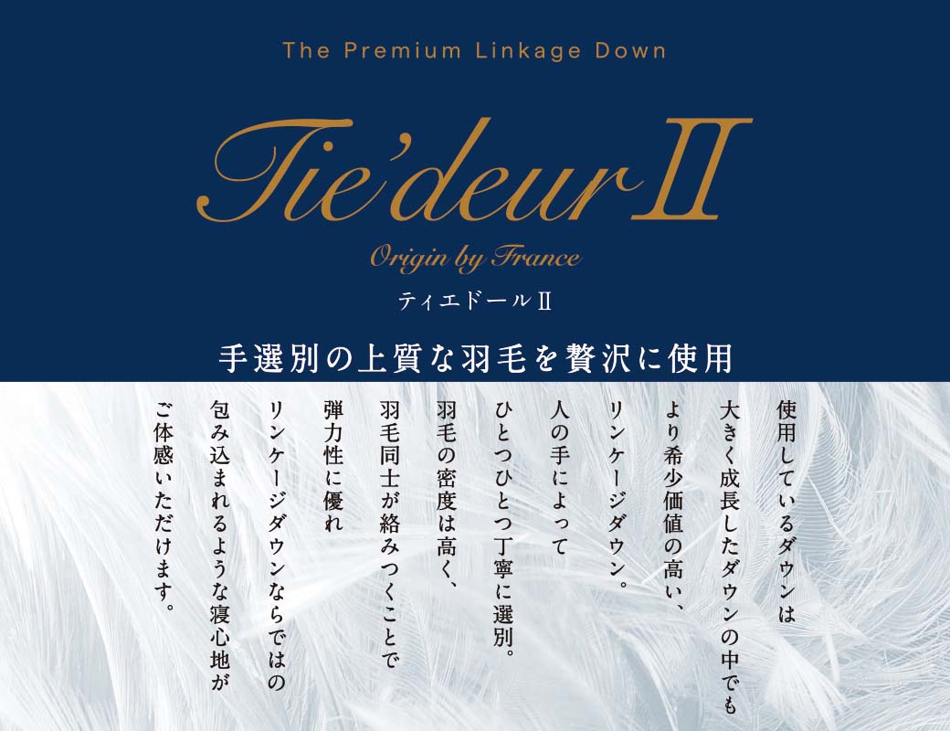 フランスベッド_ティエドール２_タイトル