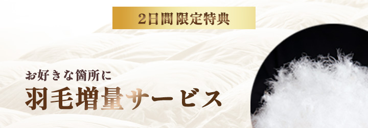 ２日間限定特典　フランスベッド羽毛布団実演販売会